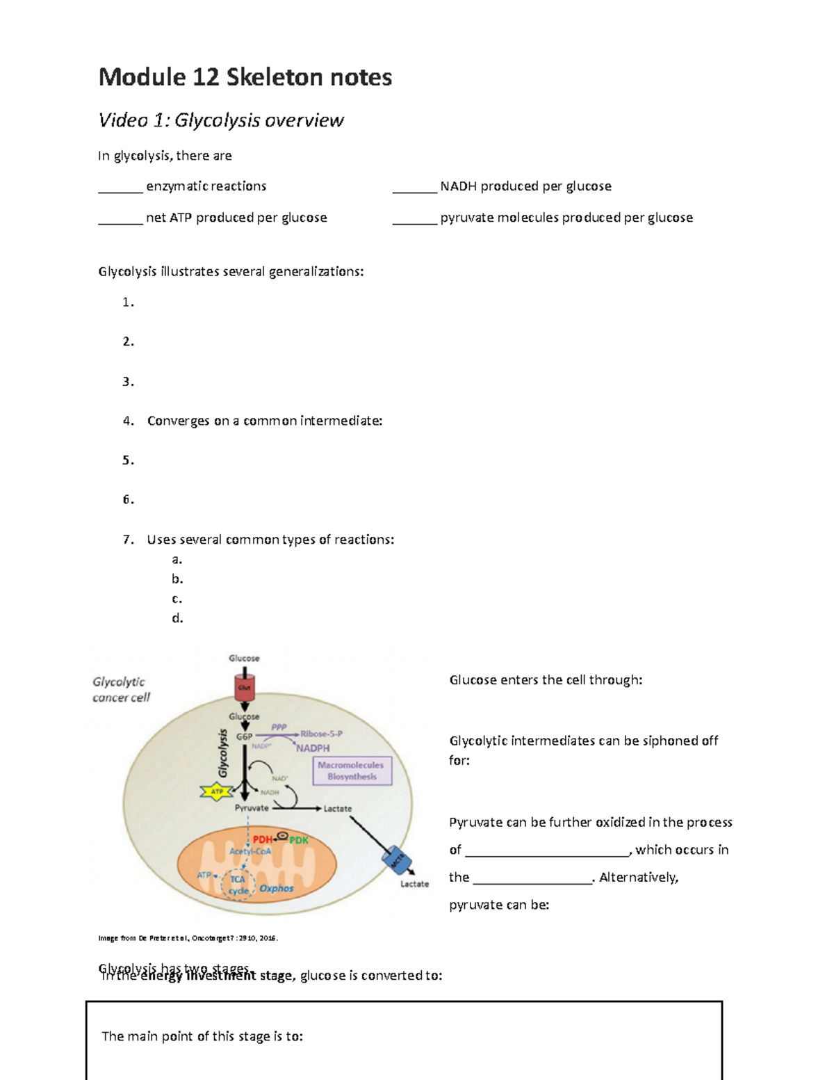 Module 12 skeleton notes - Module 12 Skeleton notes Video 1: Glycolysis ...