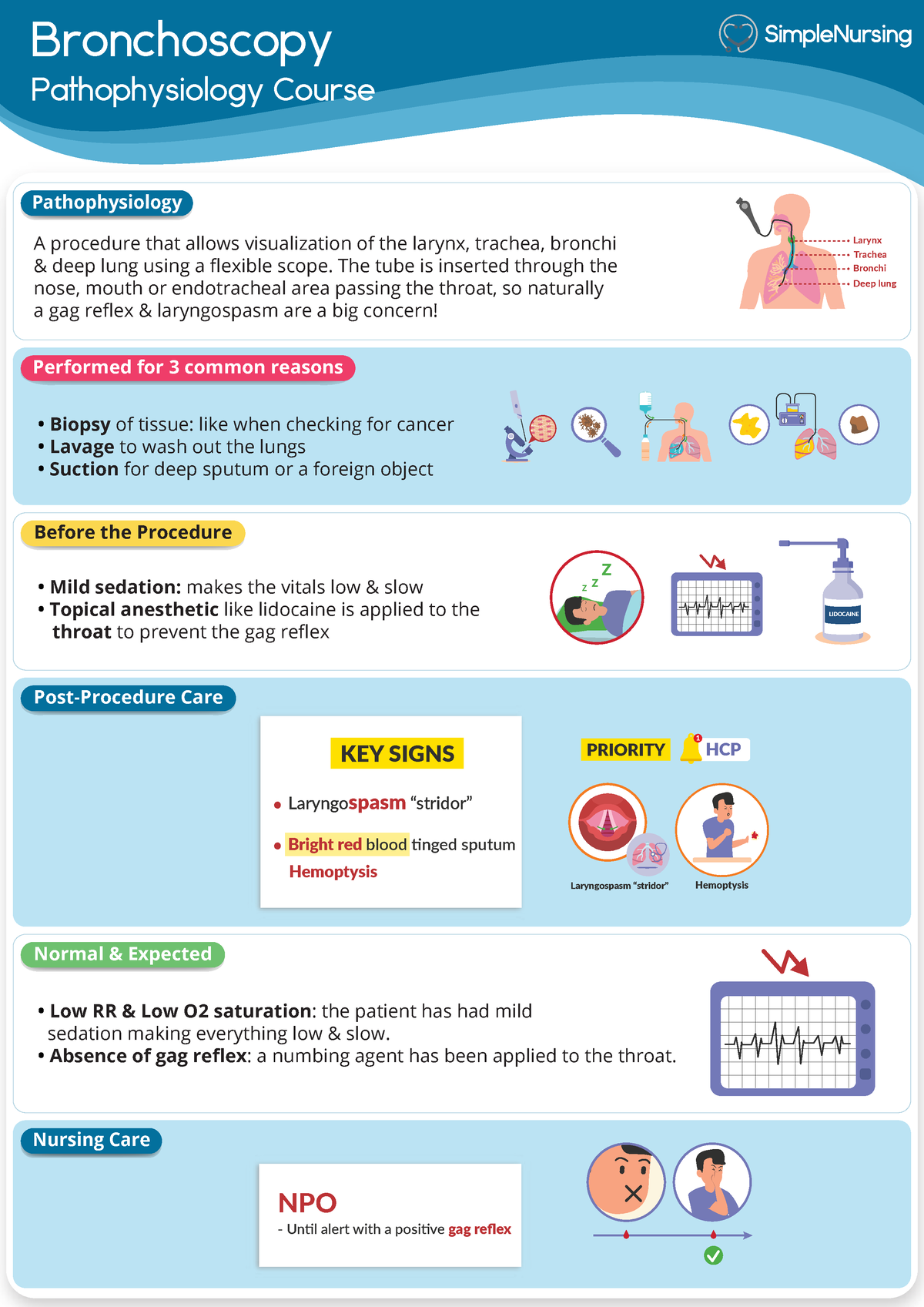 6. Diagnostics - Bronchoscopy - Bronchoscopy Pathophysiology Course A ...