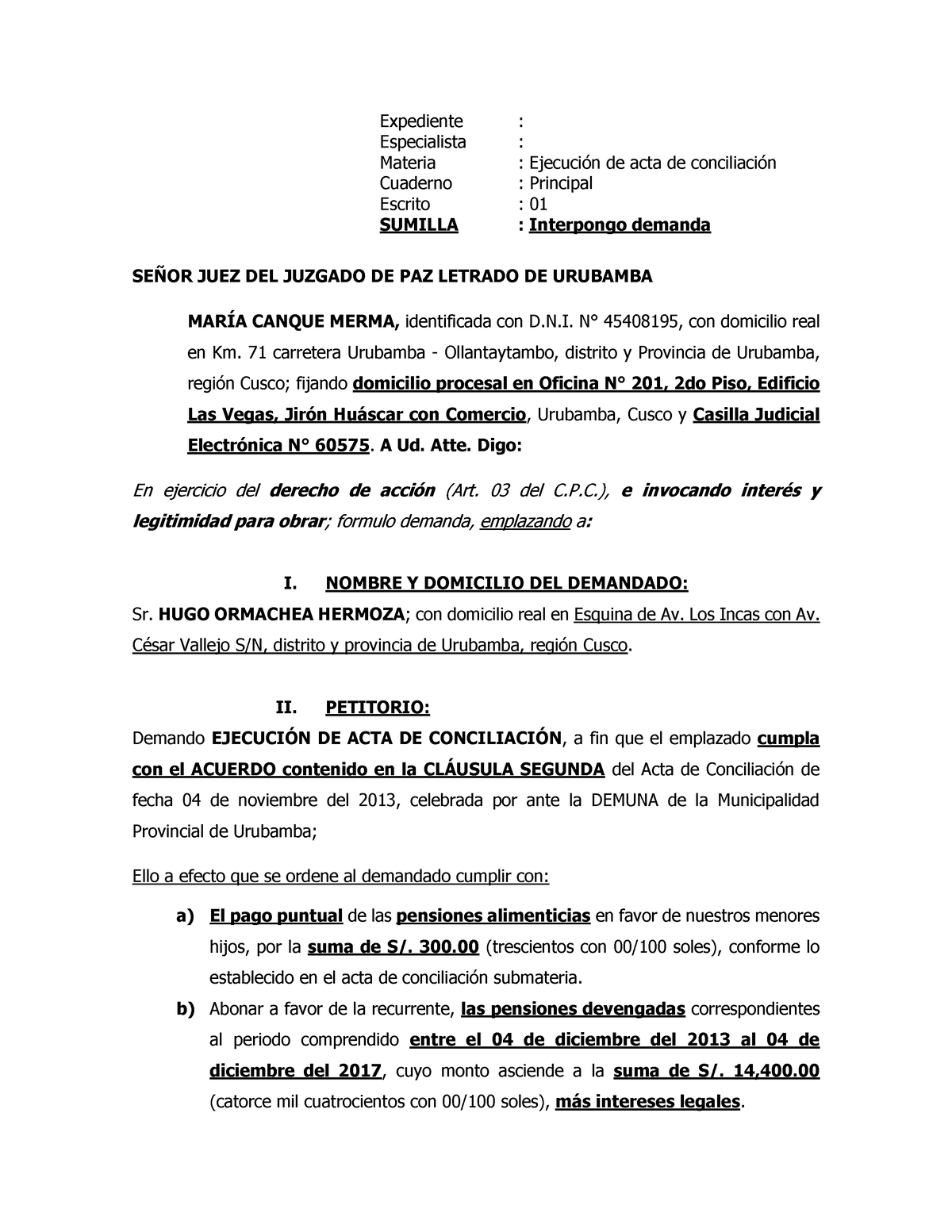 Modelo De Demanda De Ejecucion De Acta De Conciliacio 8264