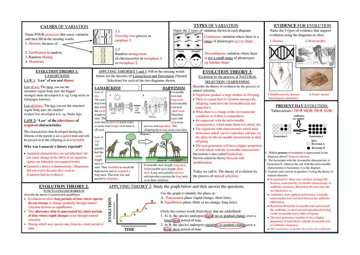 17.2 MEMO Evolution 1Pager 1 of 3 - EVIDENCE FOR EVOLUTION Name the 4 ...