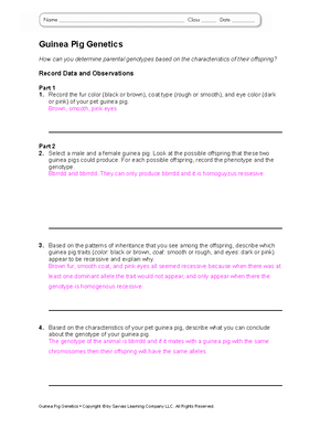 bio-ch12-l02-synth-interactivity-wks-guinea-pig-genetics-how-can-you-determine-parental-genotypes-studocu