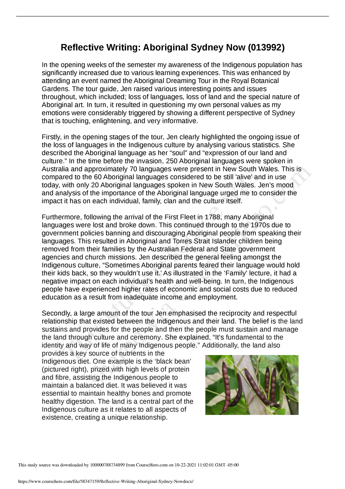 reflective essay on aboriginal culture