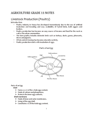 Agricultural-Sciences-P2-Nov-2018- Final-Memo-Eng - Thank You For ...