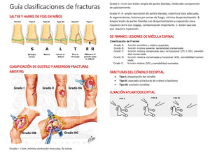 Modelo Atencion Clinicas Heridas - MODELO DE ATENCIÓN CLÍNICAS DE ...