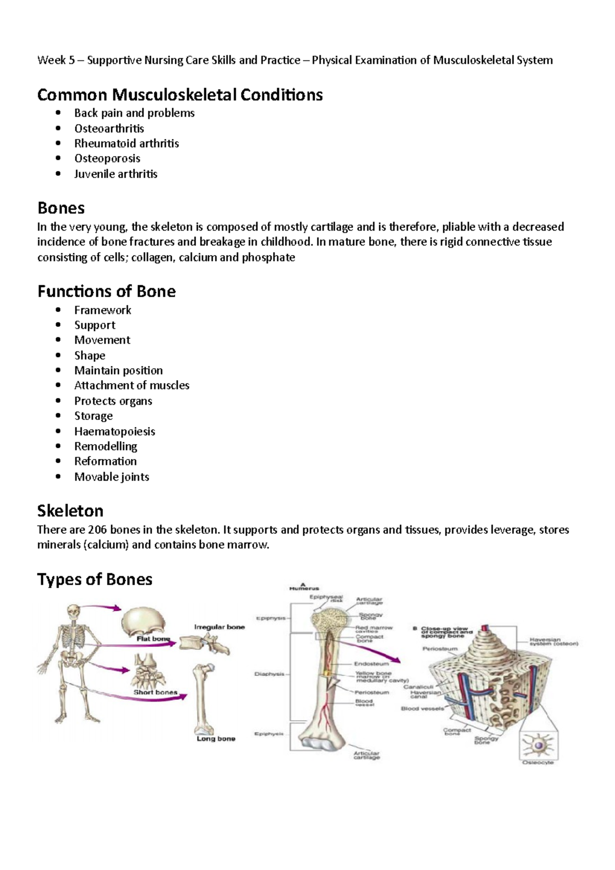 Week 5 – Supportive Nursing Care Skills And Practice – Physical ...