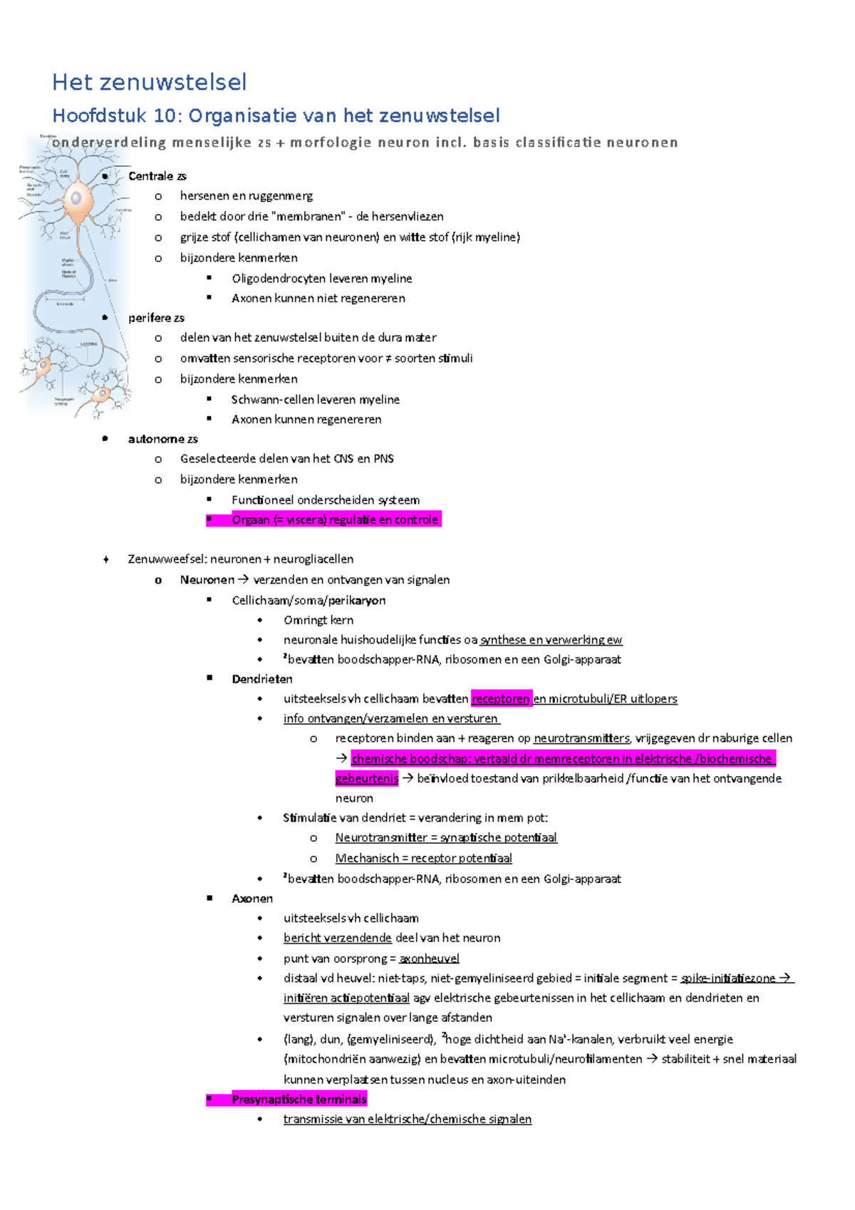Stelselmatige Fysiologie - Het Zenuwstelsel Hoofdstuk 10: Organisatie ...