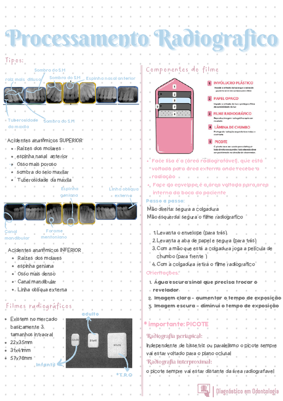 Cópia de Técnicas radiograficas intrabucais - Diagnóstico de imagem ...