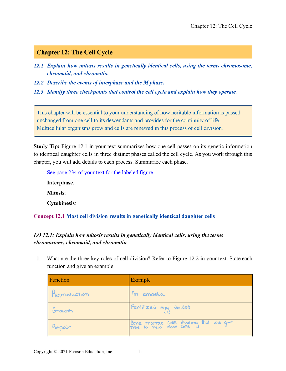 162289 FE B07A 44FA BFCD 777DBBF34092 - Chapter 12: The Cell Cycle 12 ...