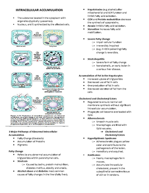 Notes Decalcification - DECALCIFICATION It is the process whereby ...