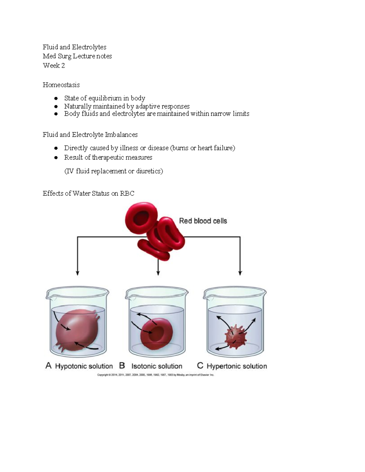 Med Surg Fluid and Electrolytes Fluid and Electrolytes Med Surg