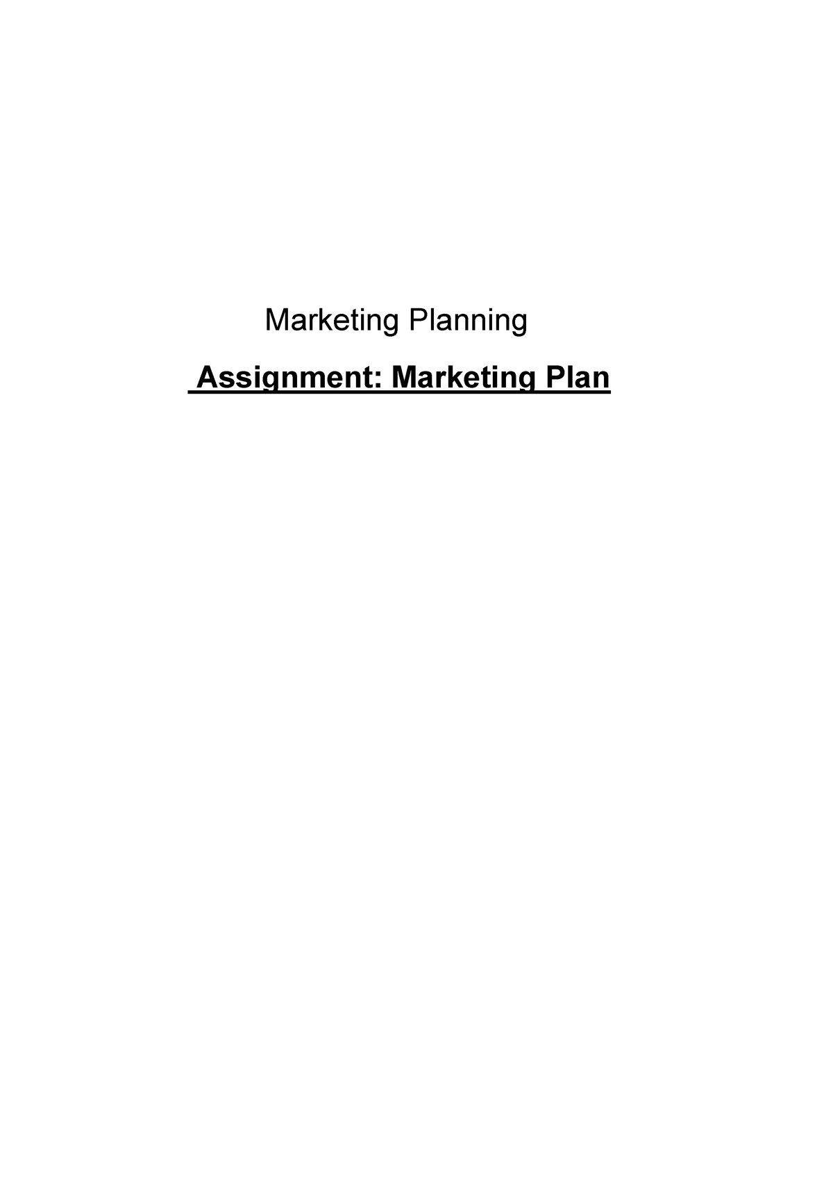 marketing plan university assignment