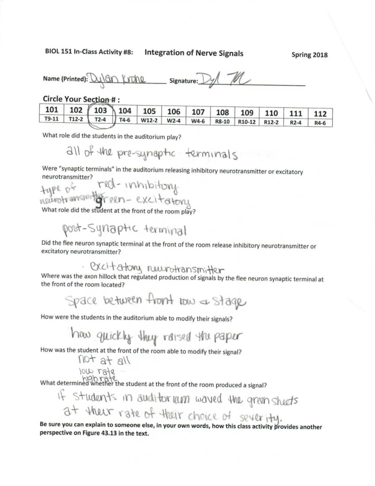 In Class Assignments - BIOL 151 Activity Integration Of Nerve Signals ...