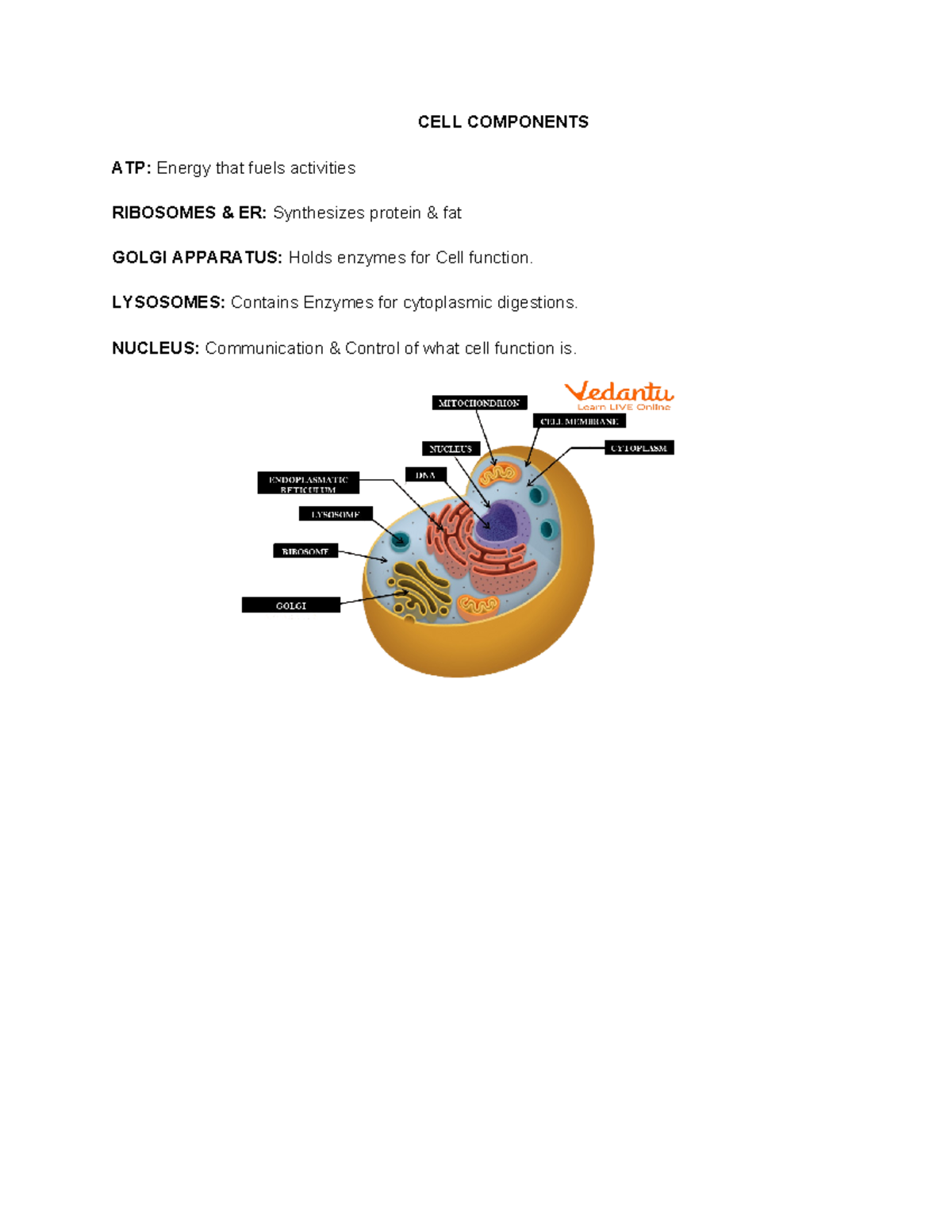 ANPH UNIT unit 1.2 - CELL COMPONENTS ATP: Energy that fuels activities ...
