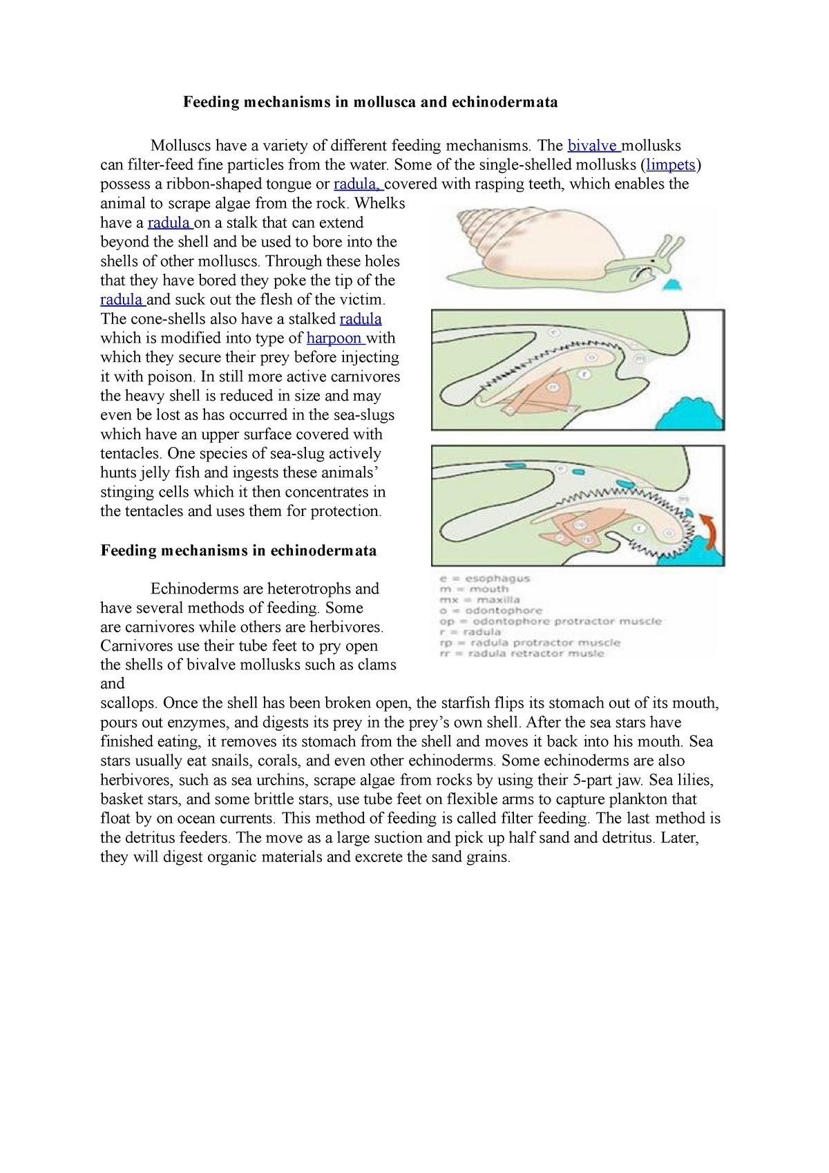 Feeding mechanisms in mollusca and echinodermata The bivalve mollusks