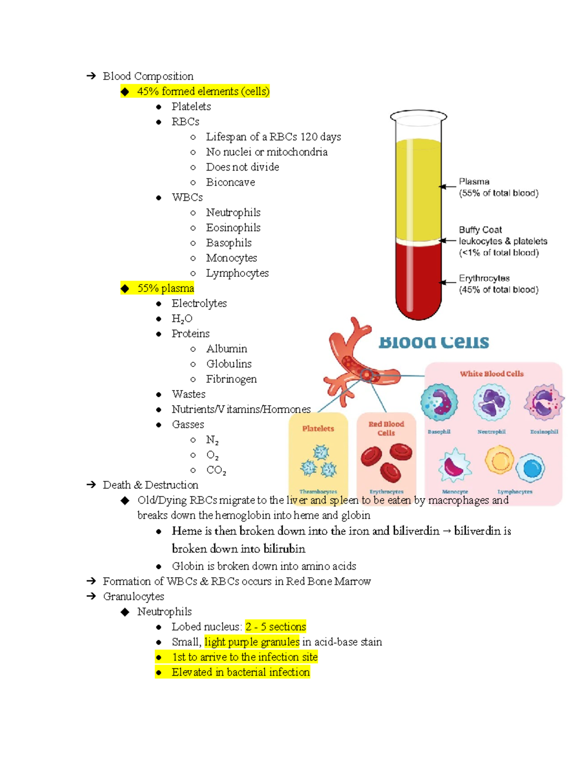 A & P II Exam I - Study Guide - Blood Composition 45% formed elements ...