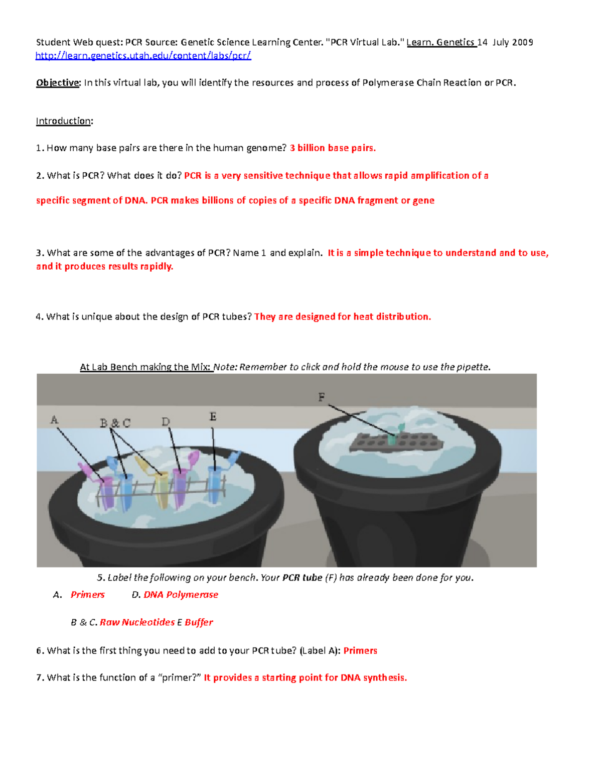 Copy of pcrlabsheet Student  quest PCR Source Science