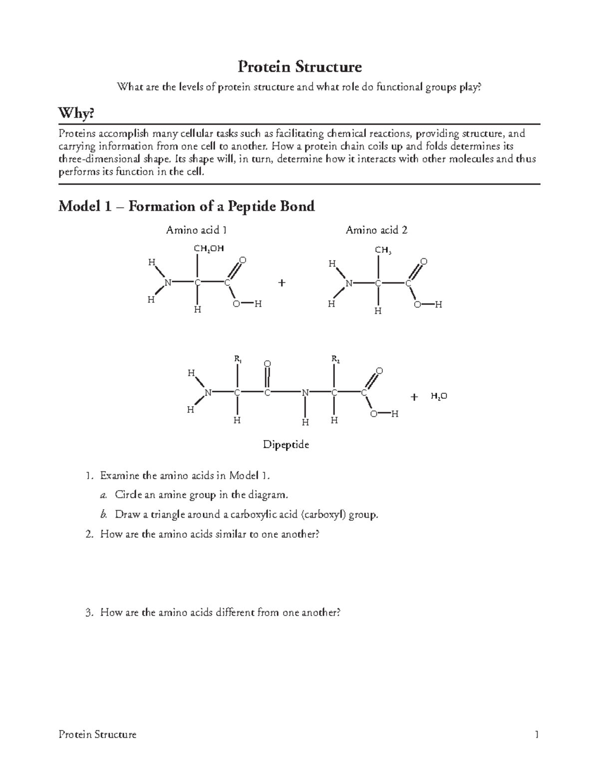 Protein Structure PL - Protein Structure 1 Protein Structure What are ...
