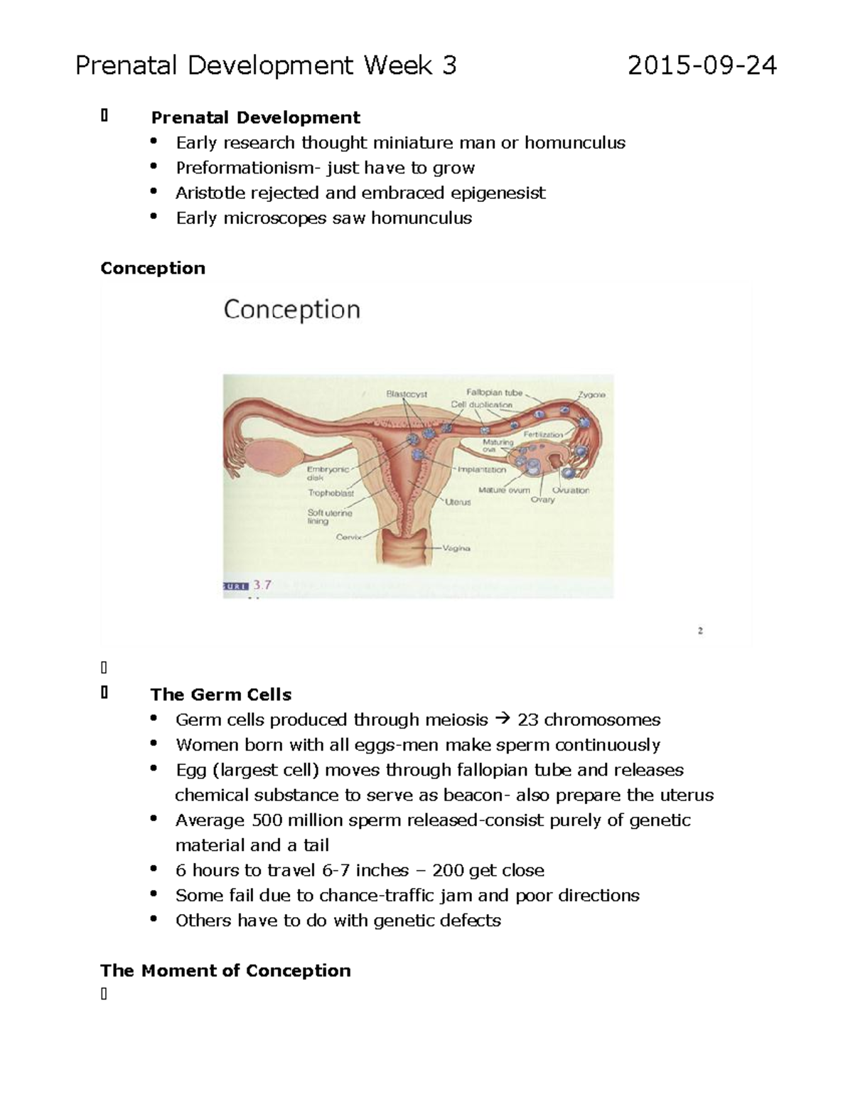 Prenatal Development Week 2 - heterozygous Dominate vs. recessive vs ...