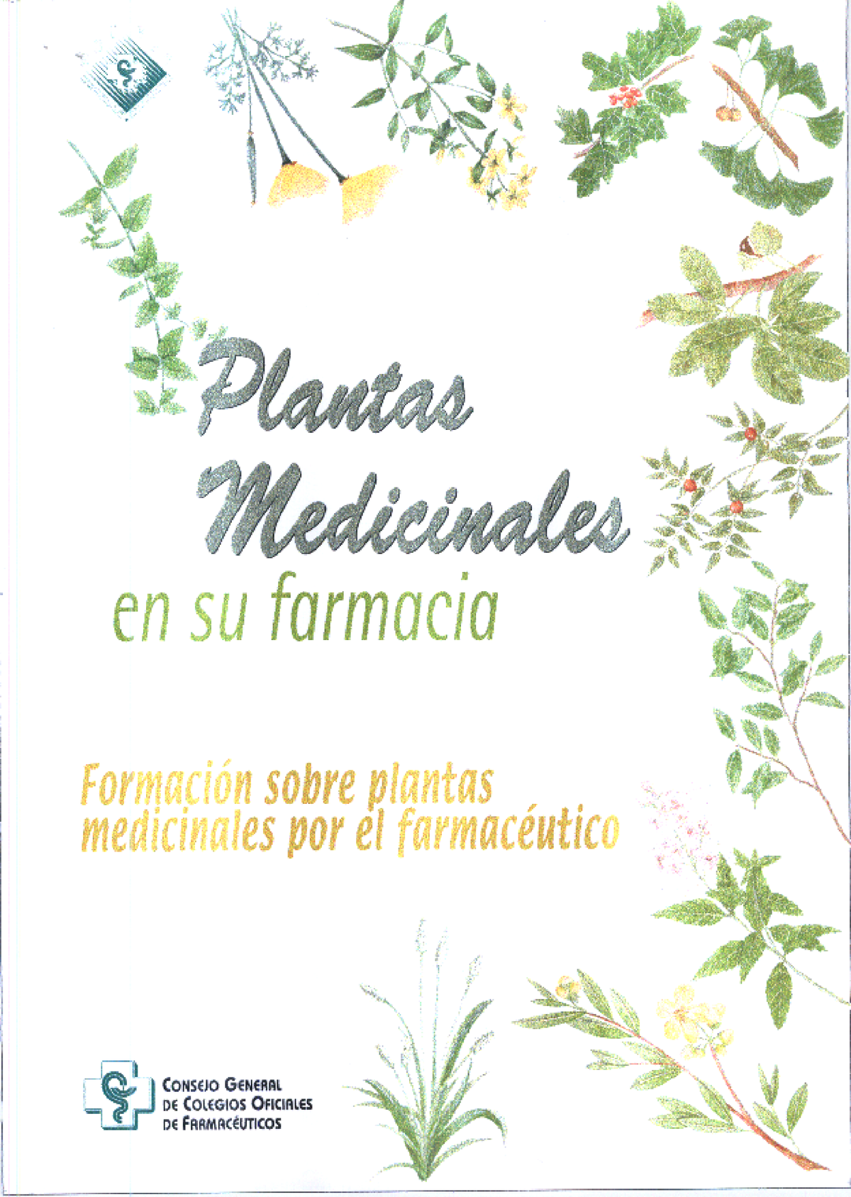 01 Cuadernillo Plantas Medicinales Ed - Banco, Seguros Y Servicios ...