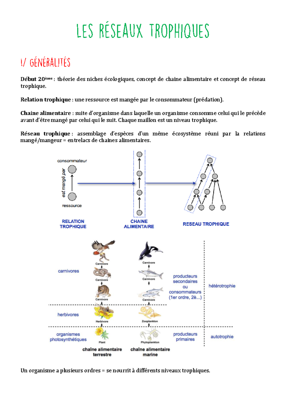 exemples de niveaux trophiques