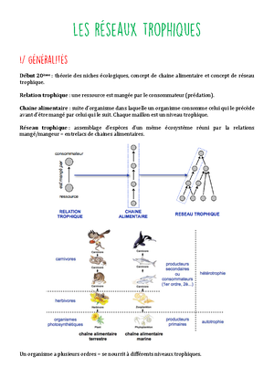 exemples de niveaux trophiques