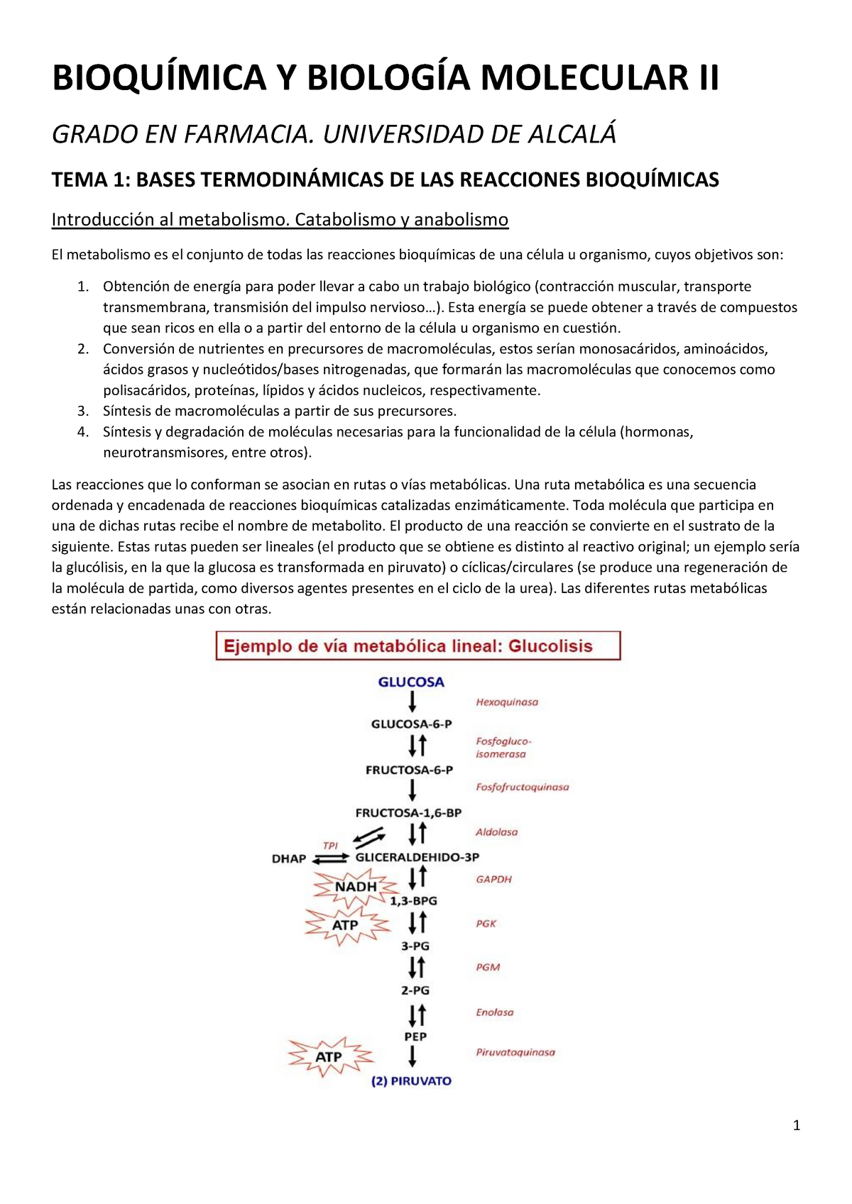 TEMA 1 - Apuntes 1 - BIOQUÍMICA Y BIOLOGÍA MOLECULAR II GRADO EN ...