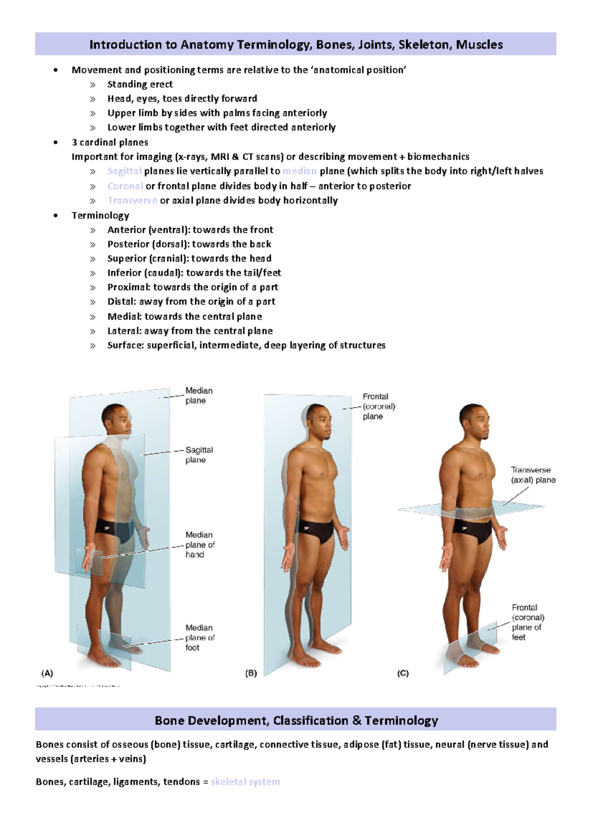 Week 1 content anatomy - Introduction to Anatomy Terminology, Bones ...