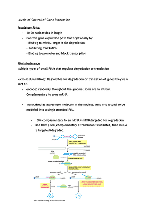 BMB 251 Module 5 Chromosome Structure Video Notes - In eukaryotes: DNA ...