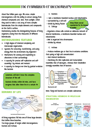 Apple scientific method - Coast to Coast Kinder Apple Experiment ...