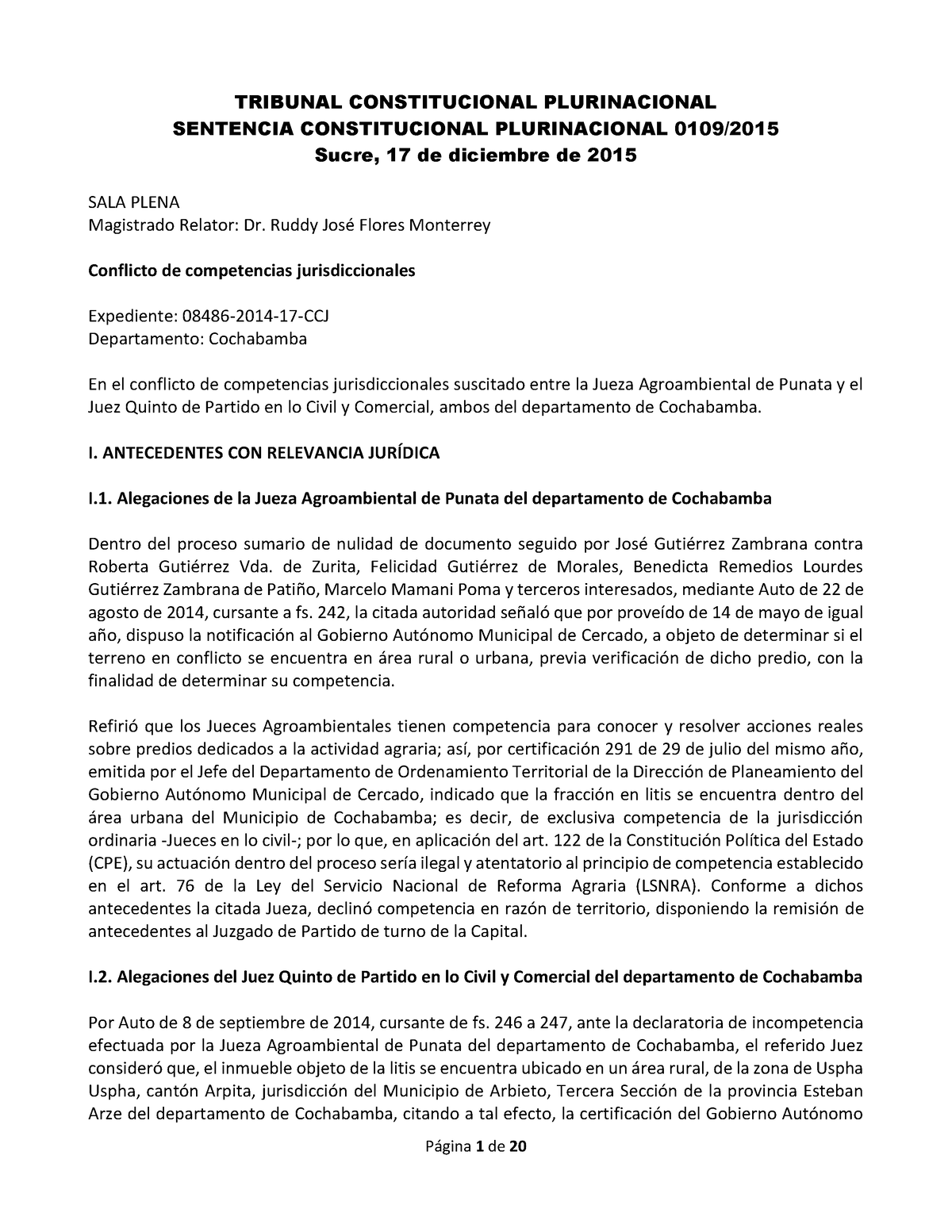 Sentencias Constitucionales - TRIBUNAL CONSTITUCIONAL PLURINACIONAL ...