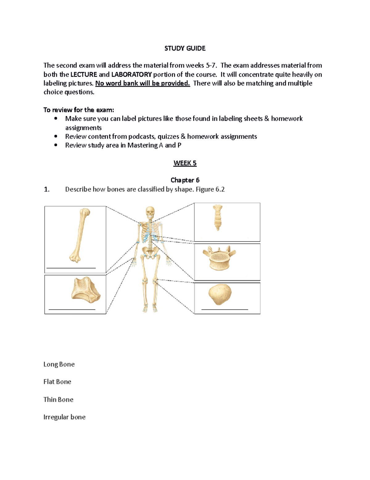 Exam 2 Study Guide - STUDY GUIDE The Second Exam Will Address The ...