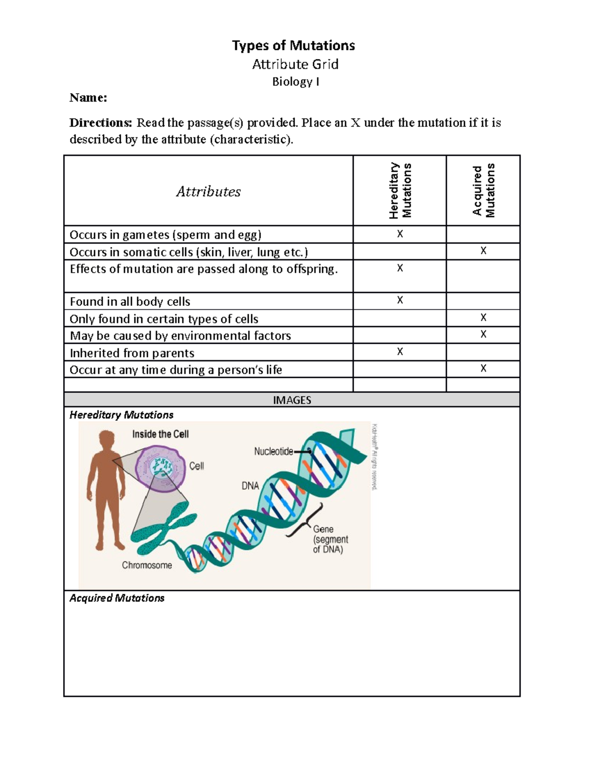 Types of Mutations Attribute Grid2 Types of Mutations Attribute Grid