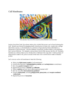 Chapter 4 Cell Structure And Function - Chapter 4: Cell Structure And ...