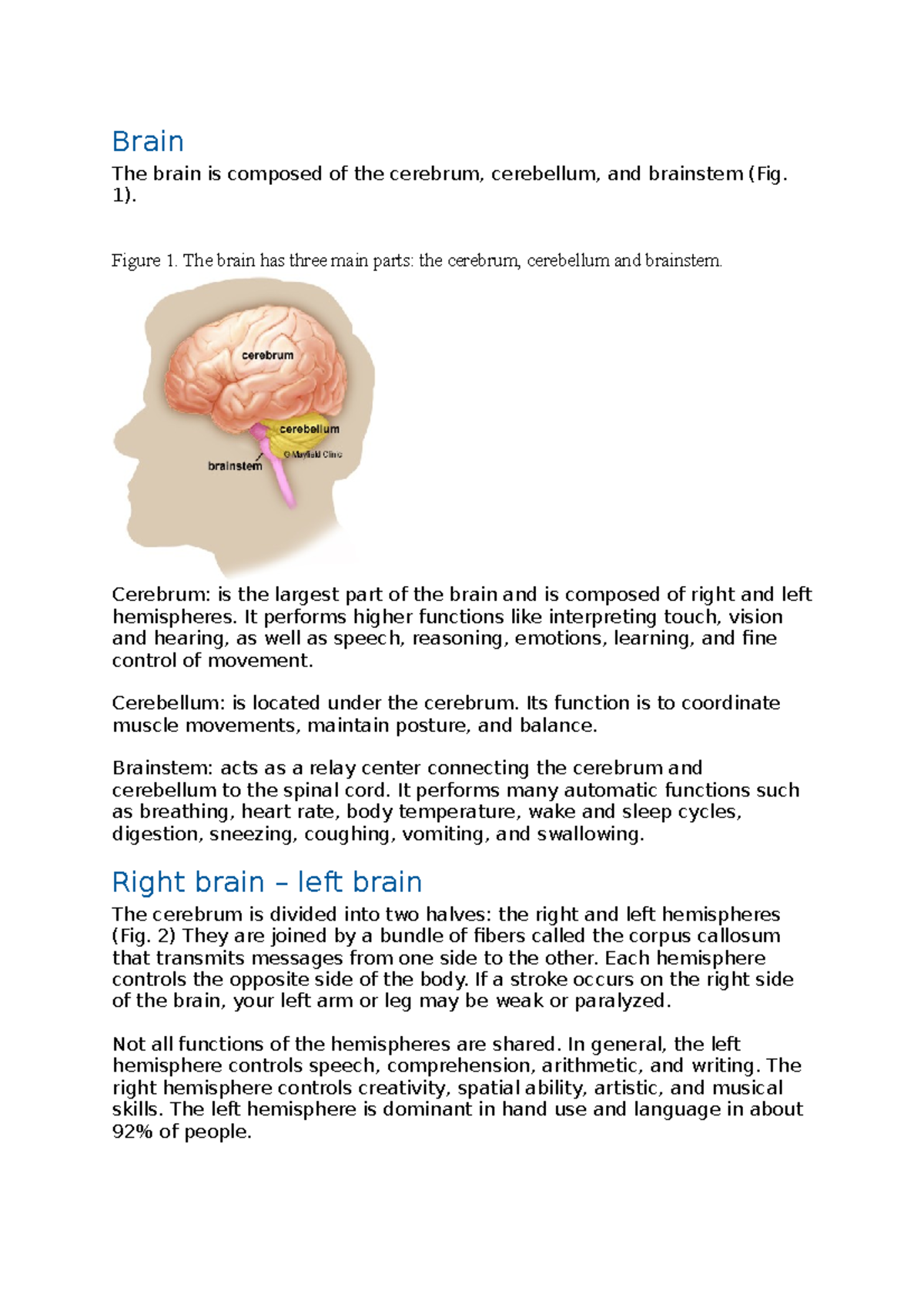 Basics - Lecture notes 1 - Brain The brain is composed of the cerebrum ...