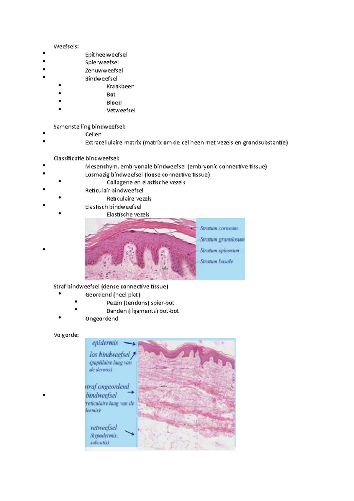 HC14: Bindweefsel - Weefsels: Epitheelweefsel Spierweefsel Zenuwweefsel ...