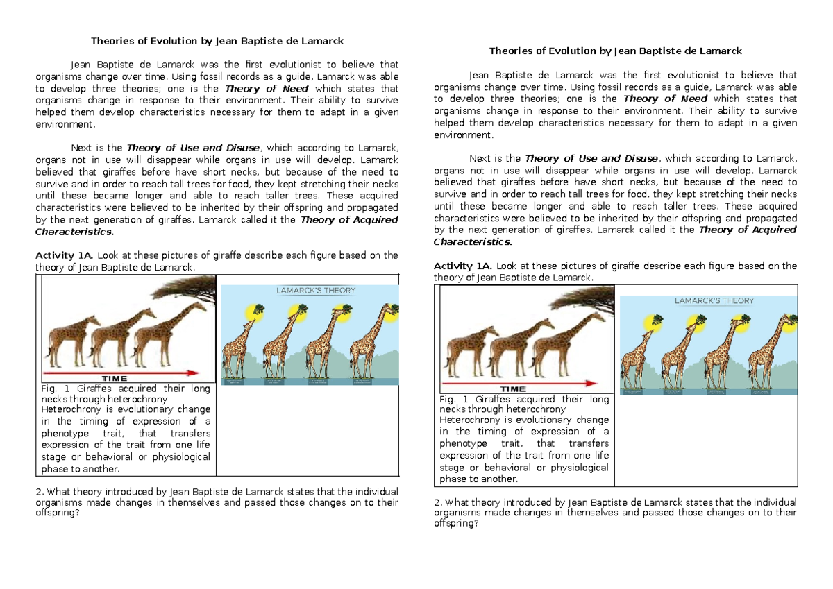 Theories of Evolution by Jean Baptiste de Lamarck - Using fossil ...