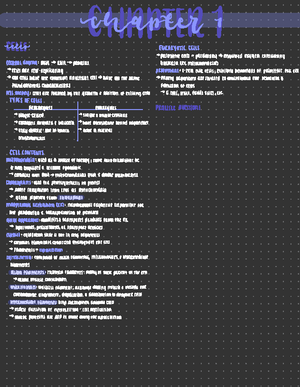 Chapter+6+Worksheet - Practice - Chapter 6 Worksheet New DNA molecules ...