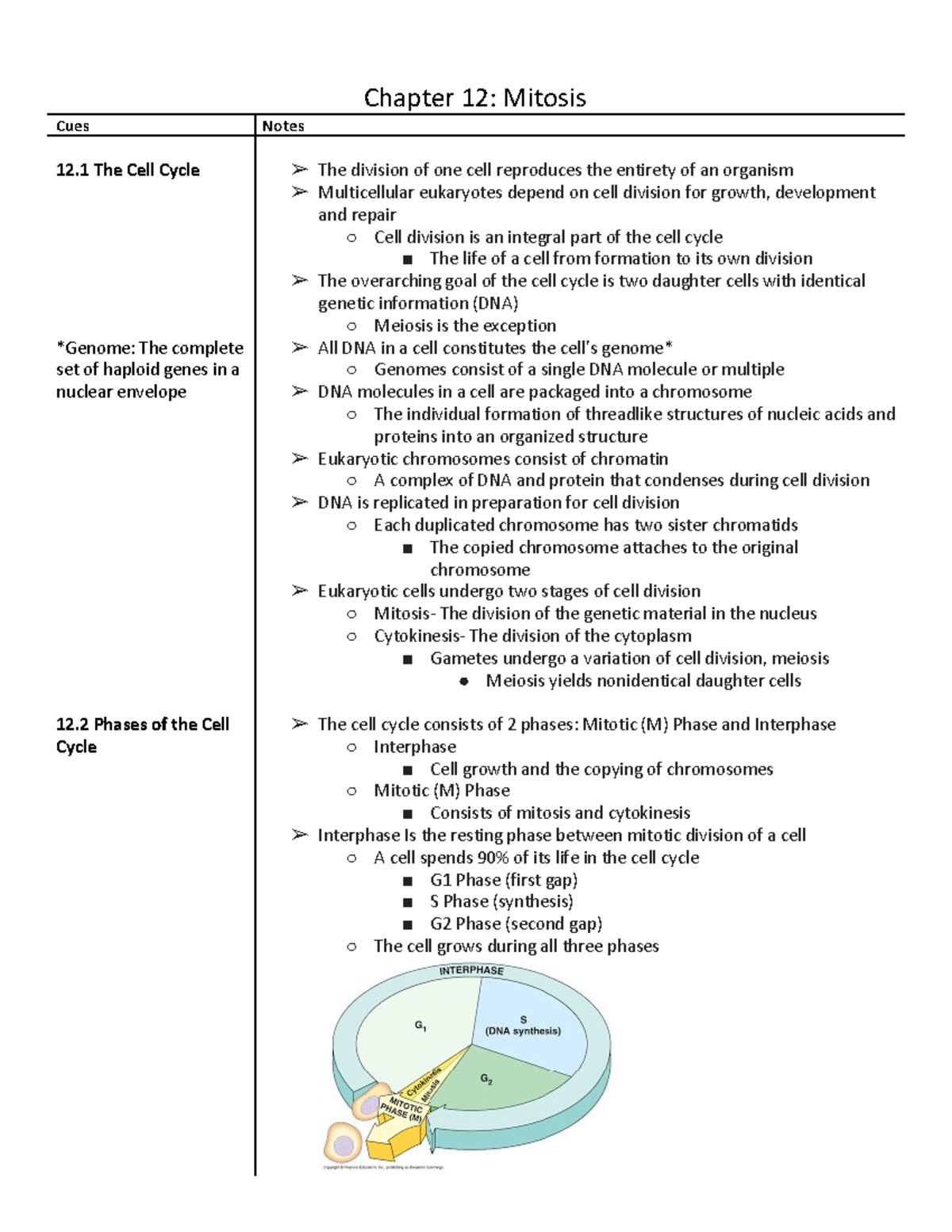 Biology Chapter 12 - Chapter 12: Mitosis Cues Notes 12 The Cell Cycle ...