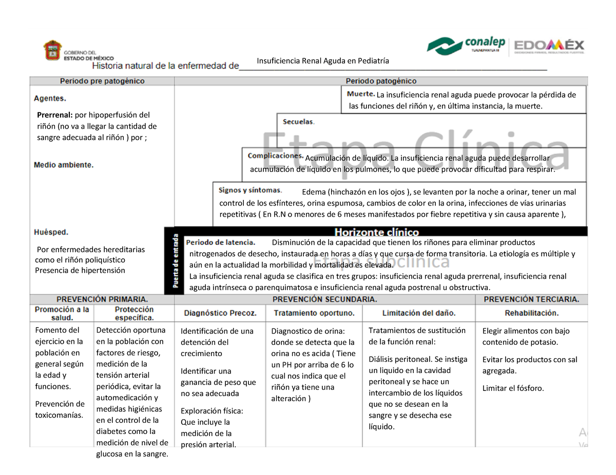 Esquema De La Historia Natural De La Enfermedad Historia Natural De La Enfermedad De La