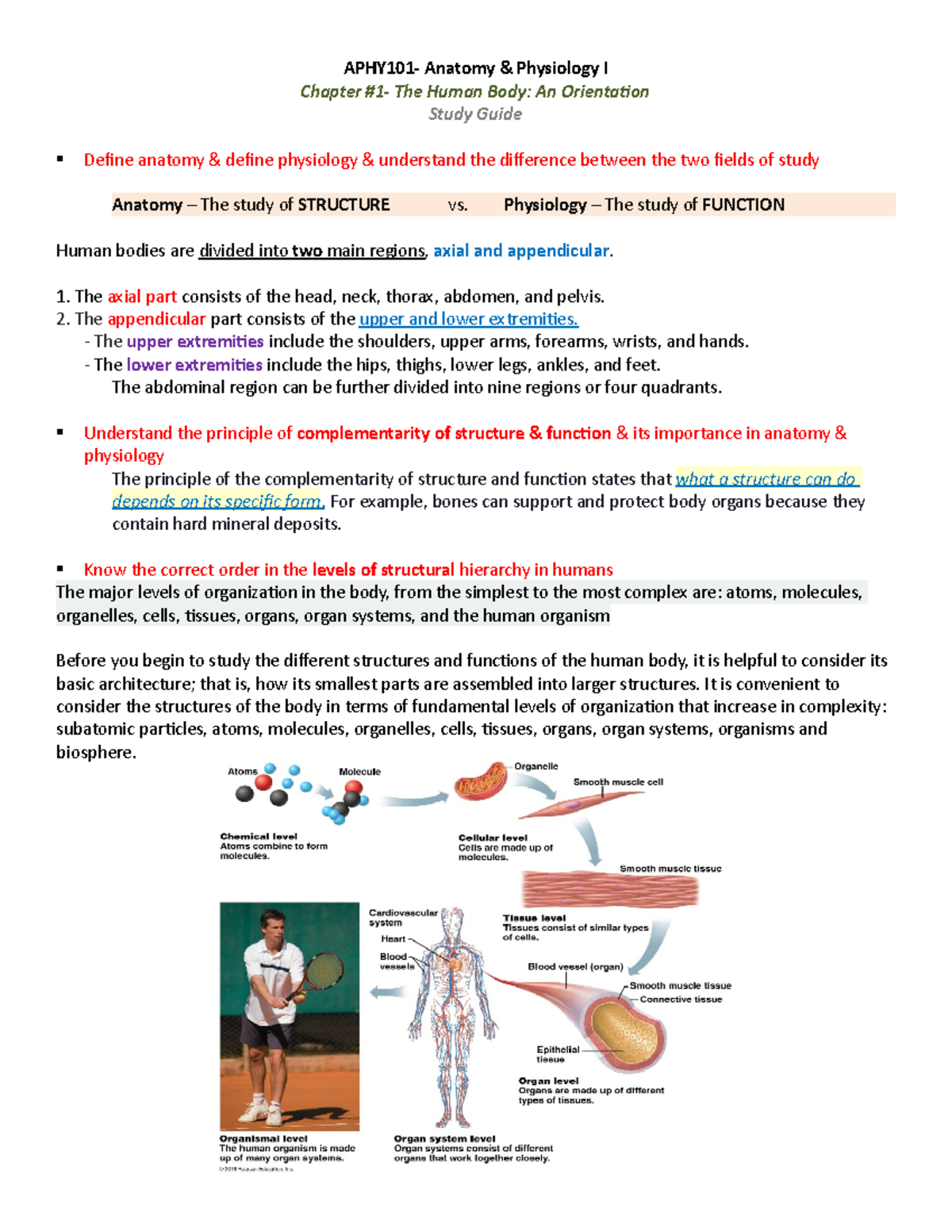 Chapter 1: The Human Body - Study Guide - APHY101- Anatomy & Physiology ...