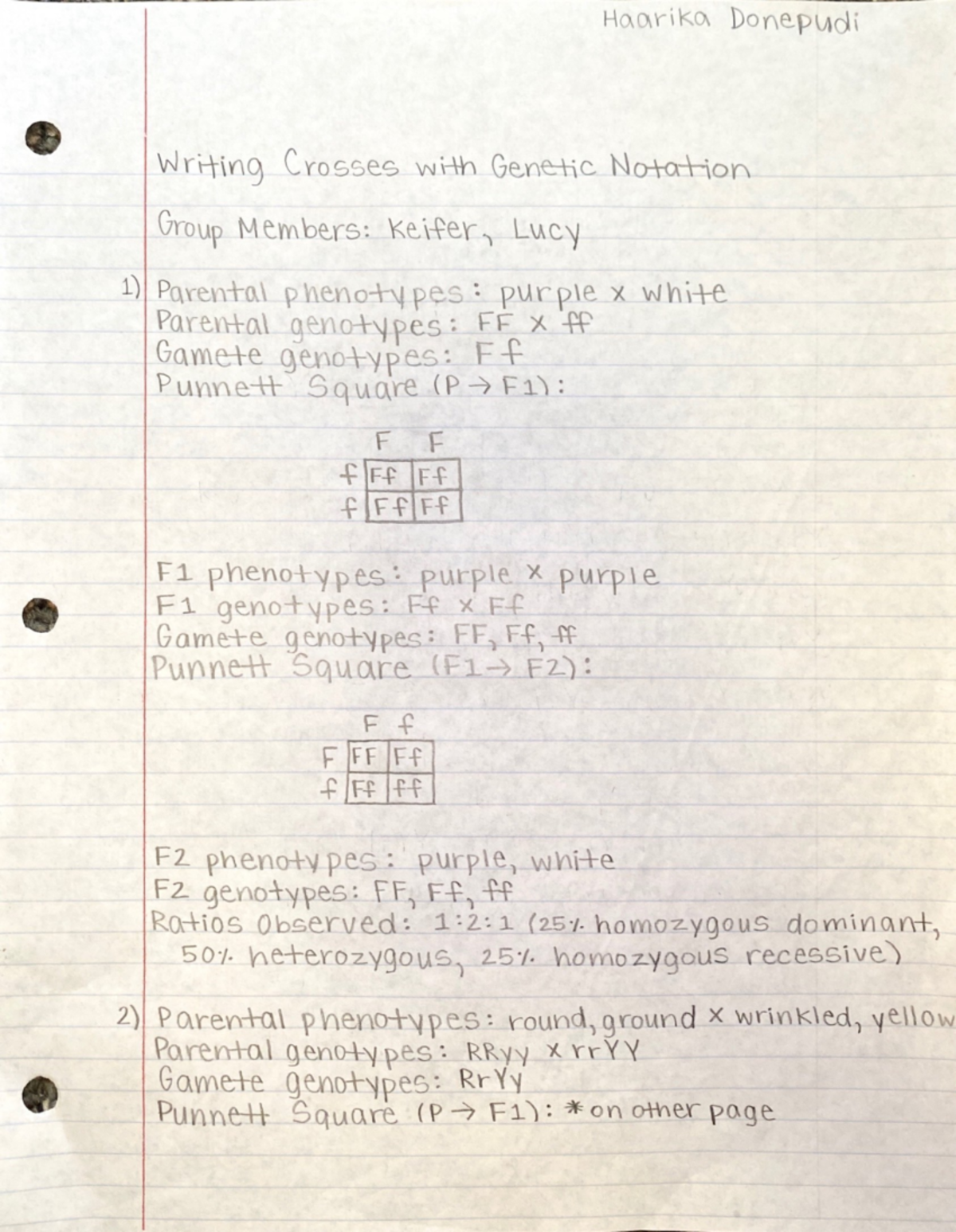 Genetics Worksheet - Summary Composition Two - ENG102 - Studocu