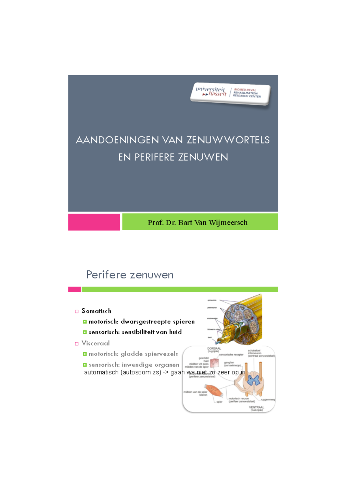 HC 11 Neuropathologie - Aandoeninngen Van De Zenuwwortels En Perifere ...