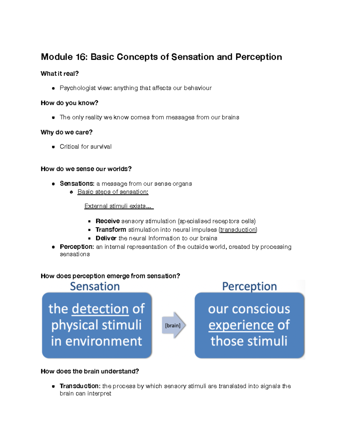 Module 16 - Basics Of Sensation And Perception - Module 16: Basic ...