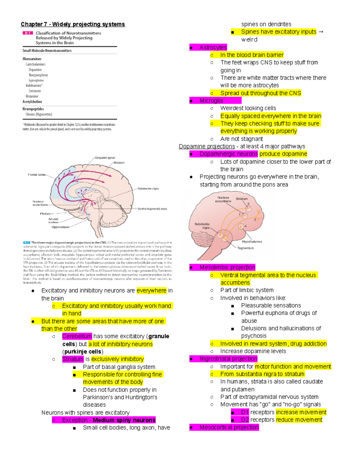 Neuropharm 2 - Dr. Dravid - Chapter 7 - Widely projecting systems ...