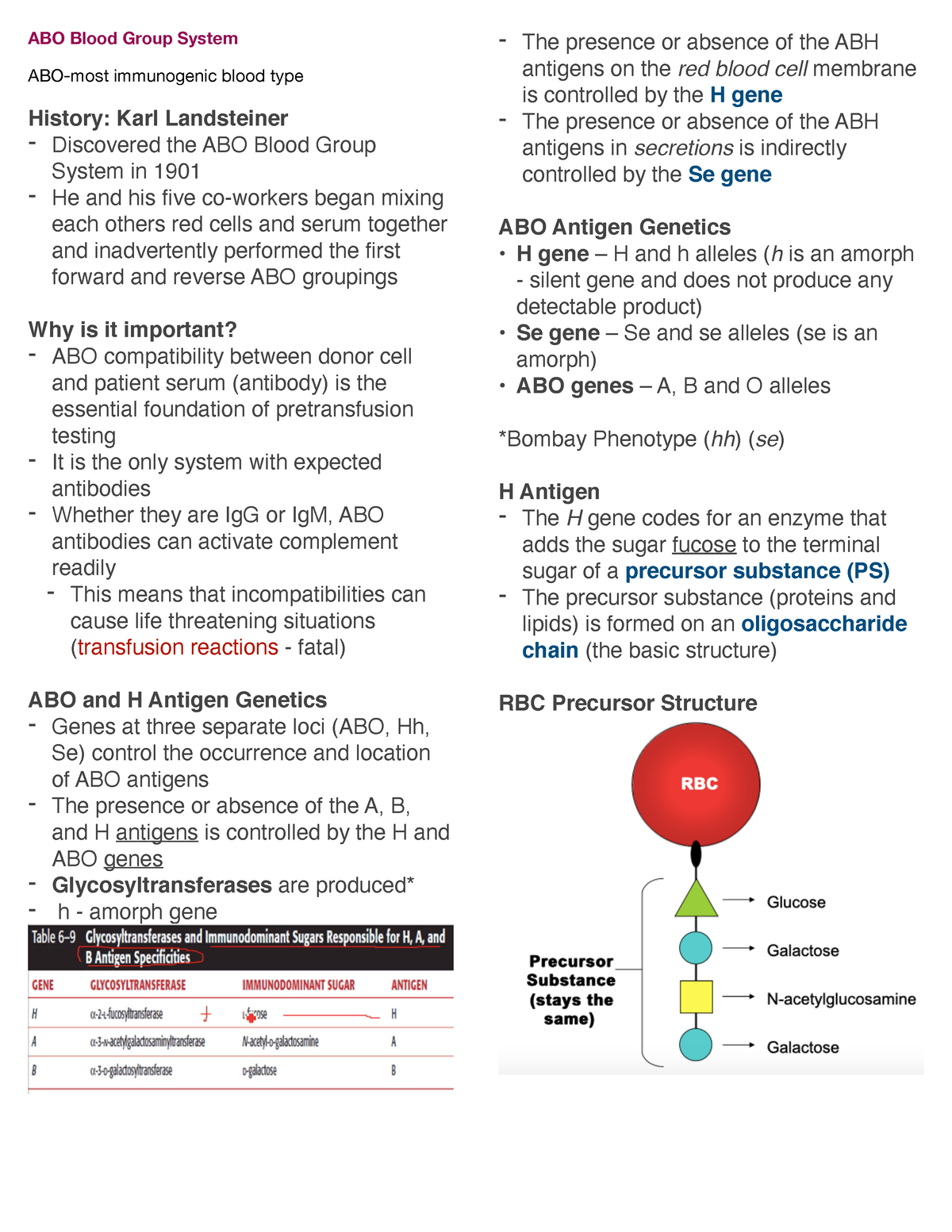 literature review on blood group