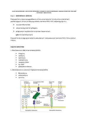 WEJŚ Ciówki Immunologia WEJŚCIÓWKI IMMUNOLOGIA budowa chemiczna i