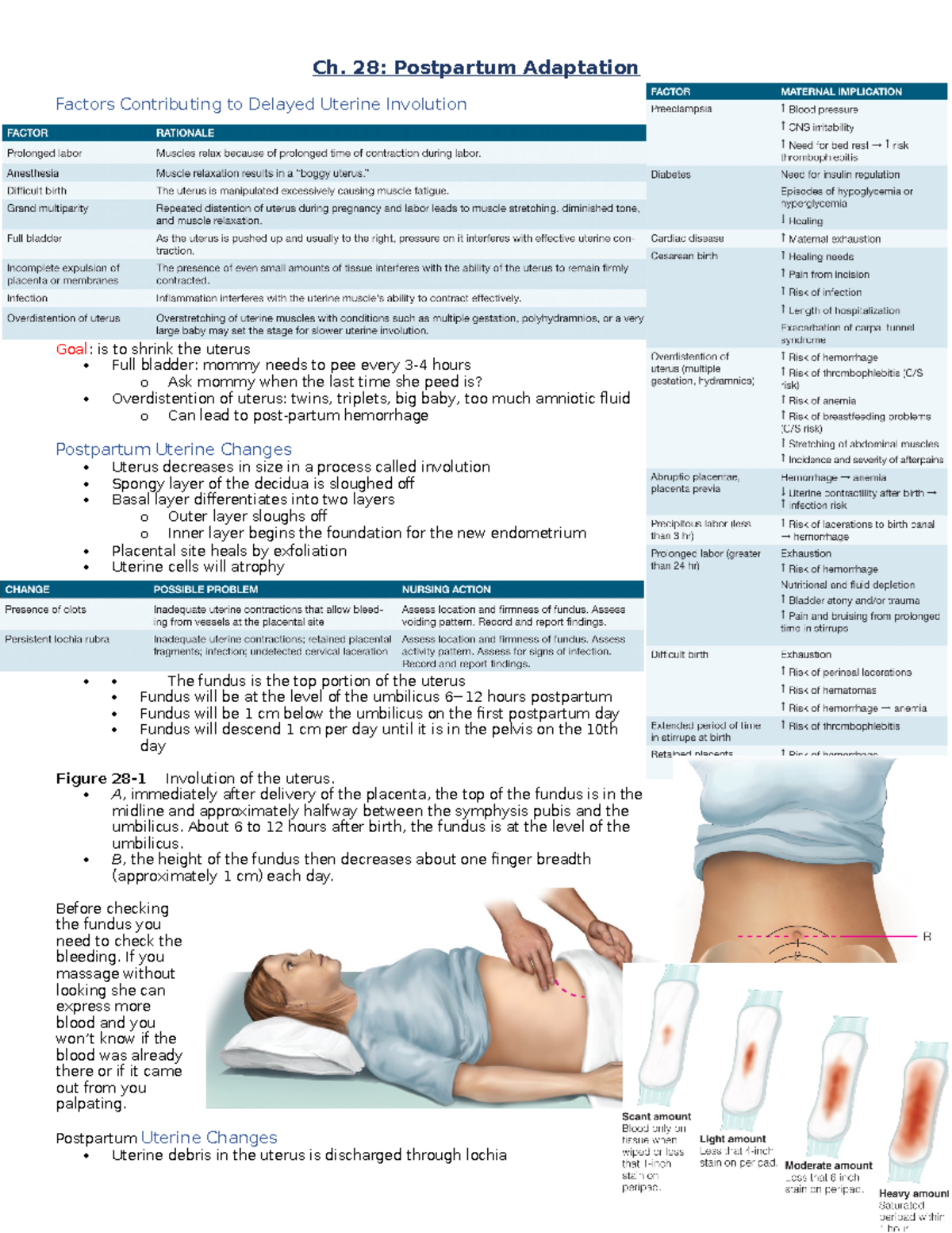 Exam 1 Notes - N/A - Ch. 28: Postpartum Adaptation Factors Contributing ...