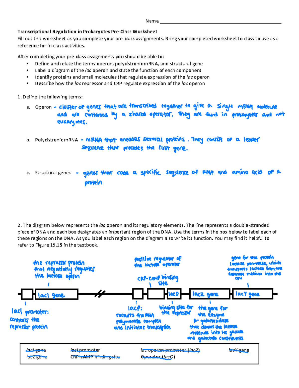 Week+7a+Prokaryotic+Gene+Expression+Reading+Guide - Name - Studocu