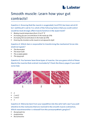 Questions skeletal muscle learn about the muscles we use to walk and ...