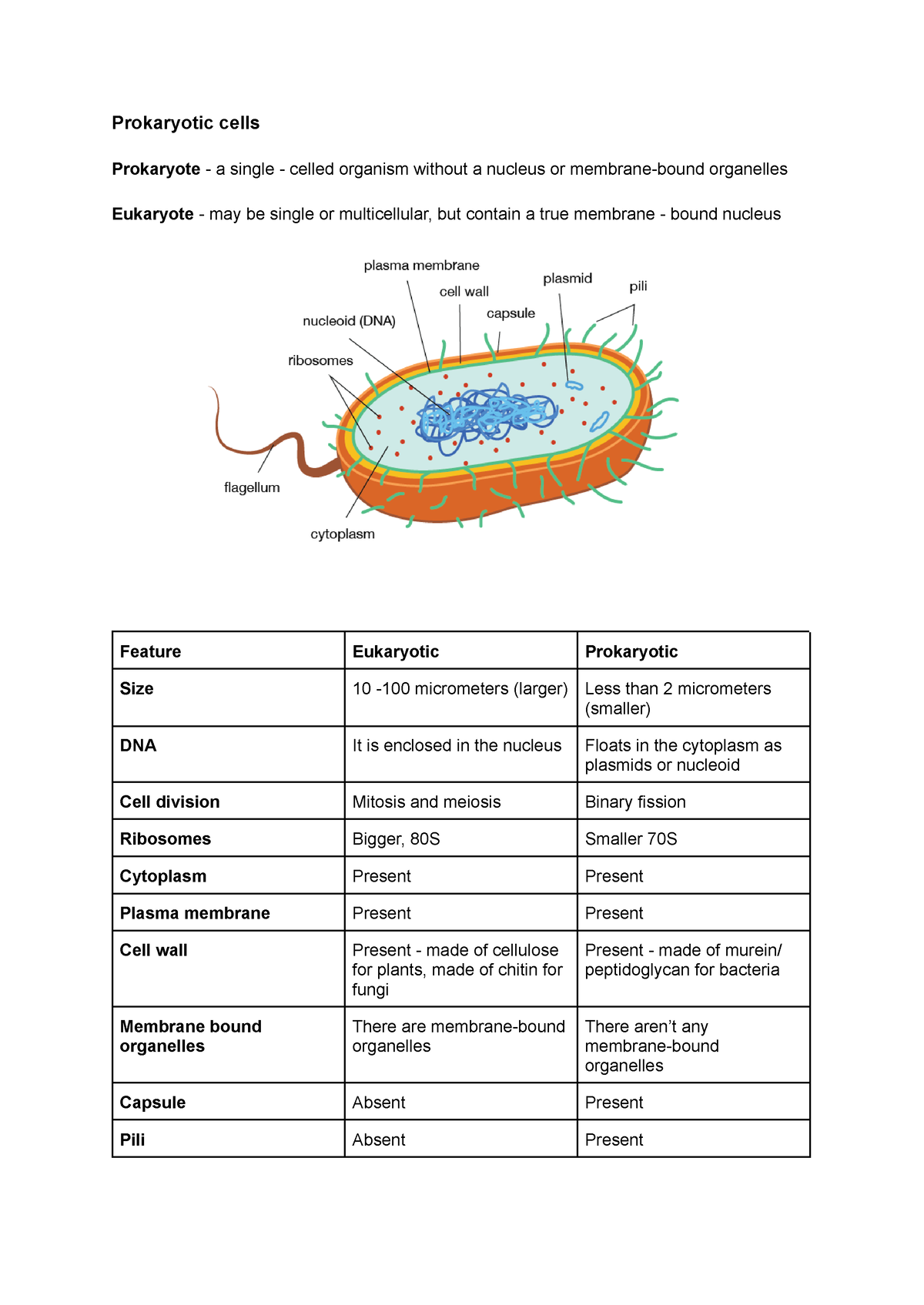 Prokaryotic Cells Lecture Notes Prokaryotic Cells Prokaryote A Single Celled Organism 9030